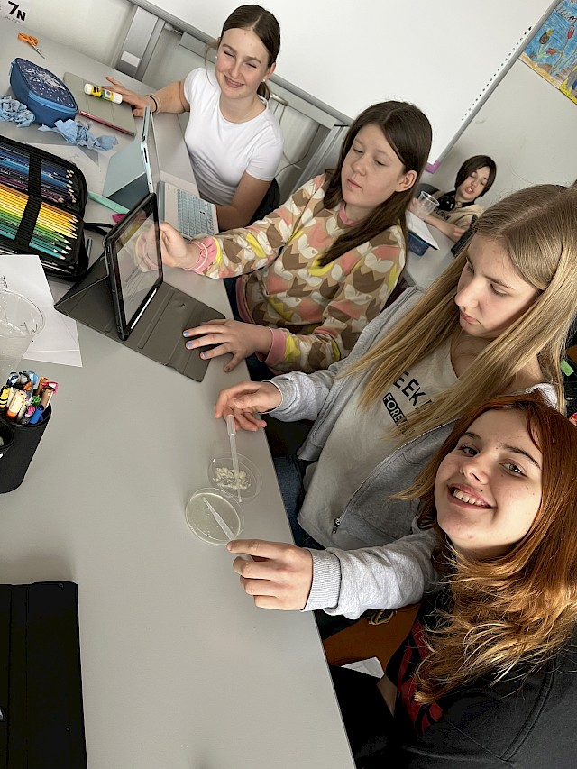 Projekte und Aktivitäten im Schuljahr 2024/2025