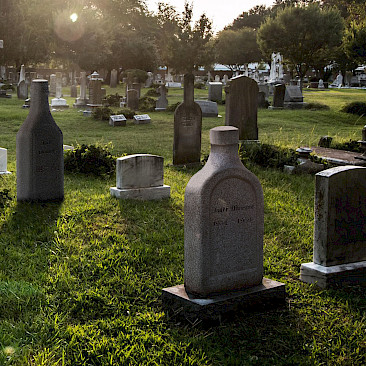 - Darja Bauer (7B): Projekt Wahrnehmung