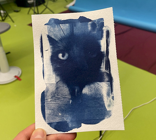 Cyanotypien - Projekt der 7B Klasse