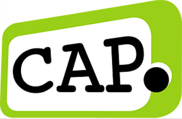 CAP. Top-Talent-Programm