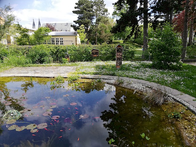 Schulgarten